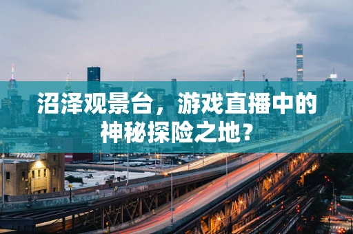 沼泽观景台，游戏直播中的神秘探险之地？