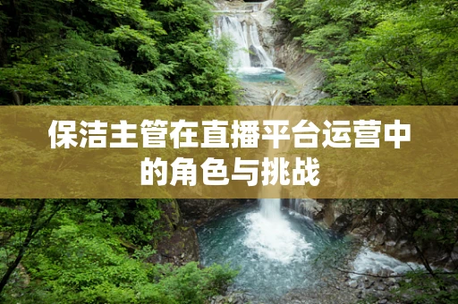 保洁主管在直播平台运营中的角色与挑战