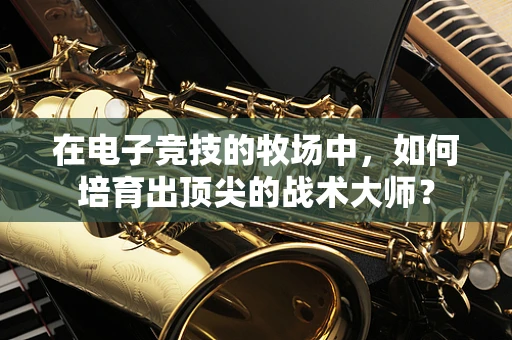 在电子竞技的牧场中，如何培育出顶尖的战术大师？