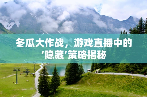 冬瓜大作战，游戏直播中的‘隐藏’策略揭秘