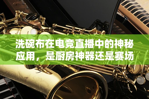 洗碗布在电竞直播中的神秘应用，是厨房神器还是赛场奇兵？