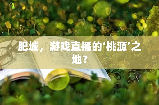 肥城，游戏直播的‘桃源’之地？