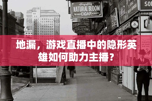 地漏，游戏直播中的隐形英雄如何助力主播？