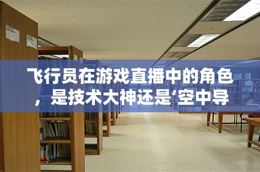 飞行员在游戏直播中的角色，是技术大神还是‘空中导航员’？