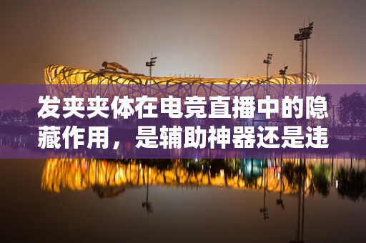 发夹夹体在电竞直播中的隐藏作用，是辅助神器还是违规边缘？