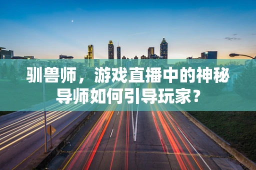 驯兽师，游戏直播中的神秘导师如何引导玩家？