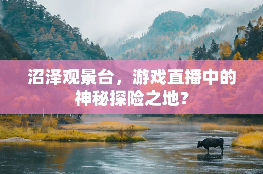 沼泽观景台，游戏直播中的神秘探险之地？