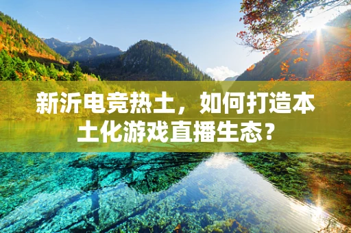 新沂电竞热土，如何打造本土化游戏直播生态？