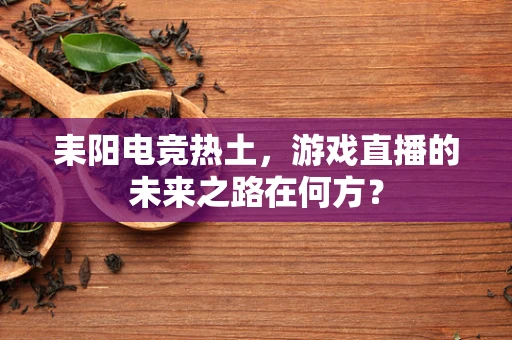 耒阳电竞热土，游戏直播的未来之路在何方？