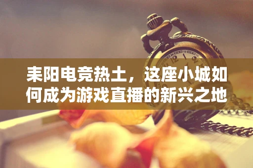 耒阳电竞热土，这座小城如何成为游戏直播的新兴之地？