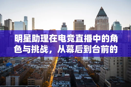明星助理在电竞直播中的角色与挑战，从幕后到台前的跨界探索