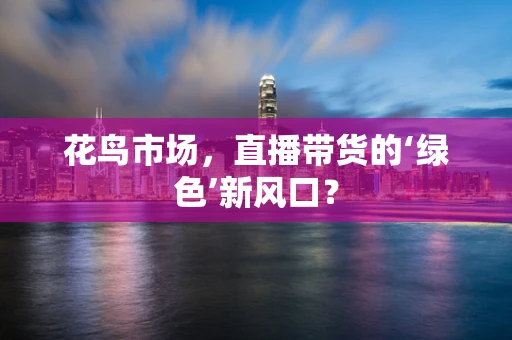 花鸟市场，直播带货的‘绿色’新风口？