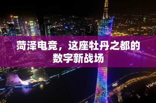菏泽电竞，这座牡丹之都的数字新战场