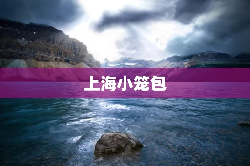 上海小笼包