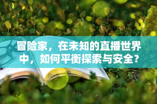冒险家，在未知的直播世界中，如何平衡探索与安全？
