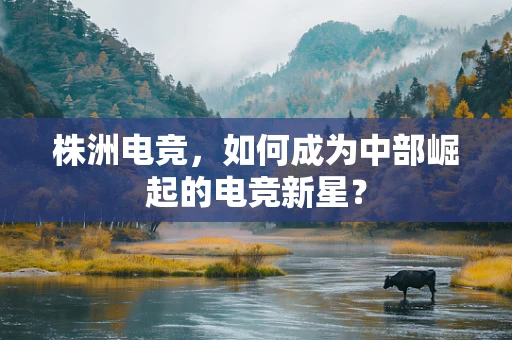 株洲电竞，如何成为中部崛起的电竞新星？