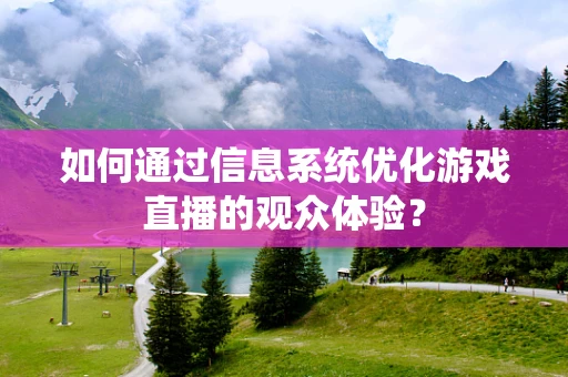 如何通过信息系统优化游戏直播的观众体验？