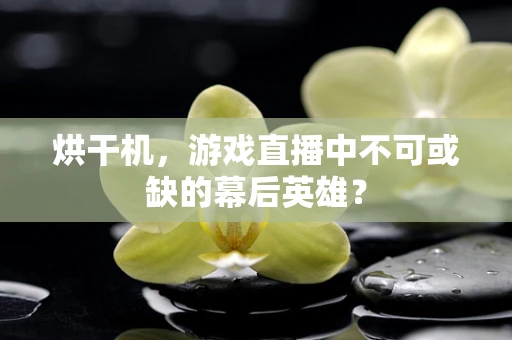 烘干机，游戏直播中不可或缺的幕后英雄？
