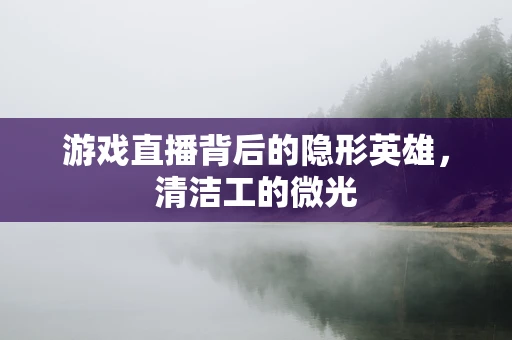 游戏直播背后的隐形英雄，清洁工的微光