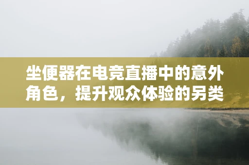 坐便器在电竞直播中的意外角色，提升观众体验的另类神器？