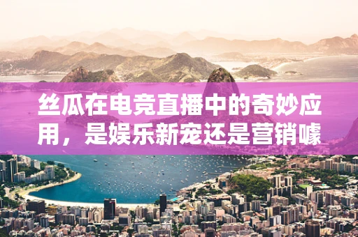丝瓜在电竞直播中的奇妙应用，是娱乐新宠还是营销噱头？
