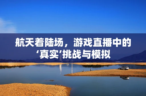 航天着陆场，游戏直播中的‘真实’挑战与模拟