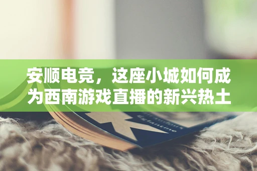 安顺电竞，这座小城如何成为西南游戏直播的新兴热土？
