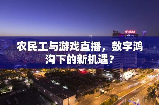 农民工与游戏直播，数字鸿沟下的新机遇？