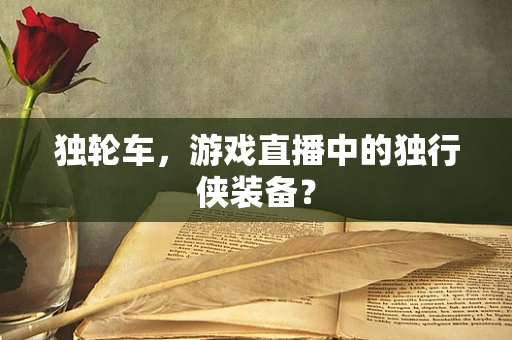 独轮车，游戏直播中的独行侠装备？