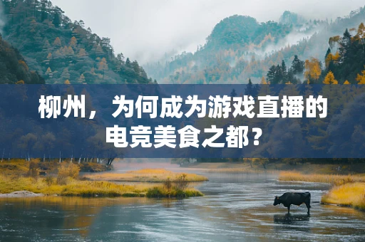 柳州，为何成为游戏直播的电竞美食之都？
