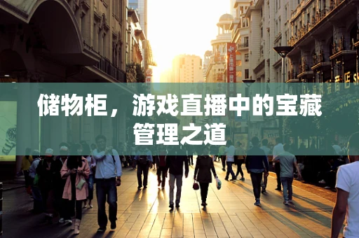 储物柜，游戏直播中的宝藏管理之道