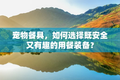宠物餐具，如何选择既安全又有趣的用餐装备？