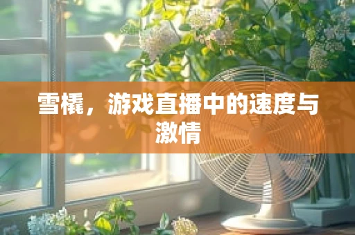 雪橇，游戏直播中的速度与激情