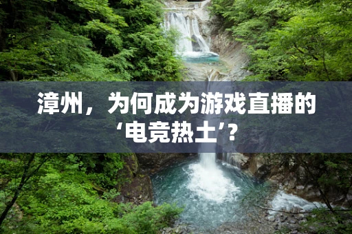 漳州，为何成为游戏直播的‘电竞热土’？