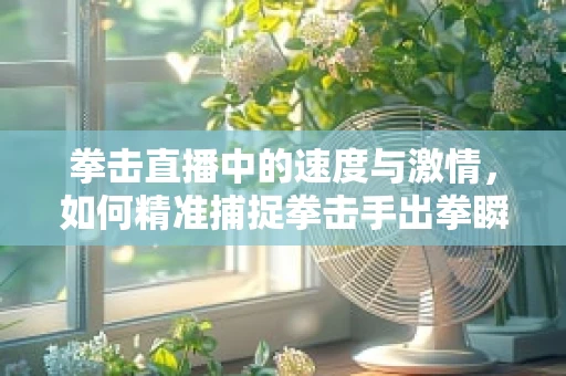 拳击直播中的速度与激情，如何精准捕捉拳击手出拳瞬间？