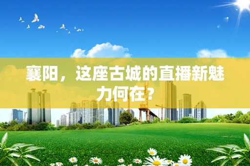 襄阳，这座古城的直播新魅力何在？
