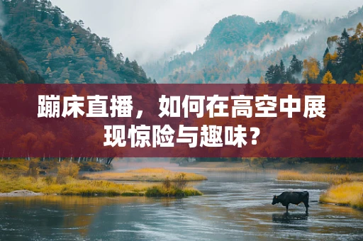 蹦床直播，如何在高空中展现惊险与趣味？