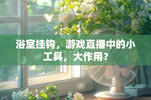浴室挂钩，游戏直播中的小工具，大作用？