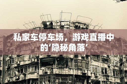 私家车停车场，游戏直播中的‘隐秘角落’