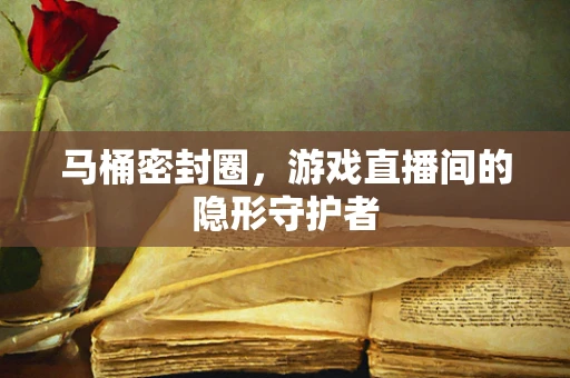 马桶密封圈，游戏直播间的隐形守护者