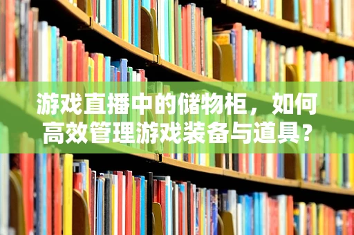 游戏直播中的储物柜，如何高效管理游戏装备与道具？