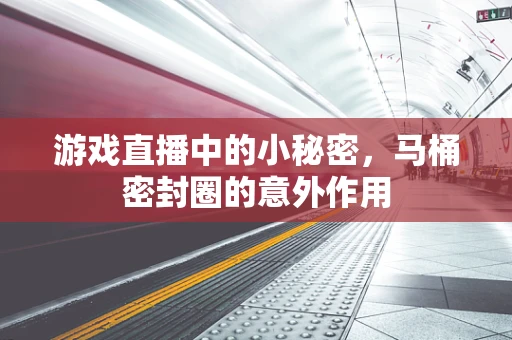 游戏直播中的小秘密，马桶密封圈的意外作用