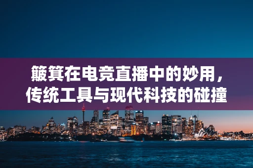 簸箕在电竞直播中的妙用，传统工具与现代科技的碰撞？