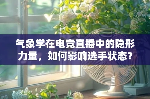 气象学在电竞直播中的隐形力量，如何影响选手状态？