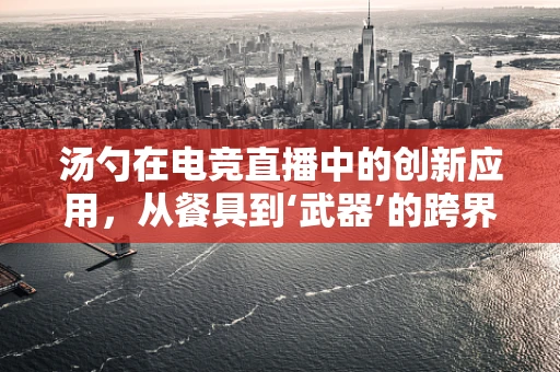 汤勺在电竞直播中的创新应用，从餐具到‘武器’的跨界？