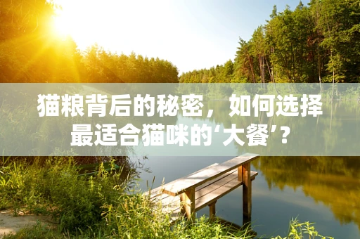猫粮背后的秘密，如何选择最适合猫咪的‘大餐’？