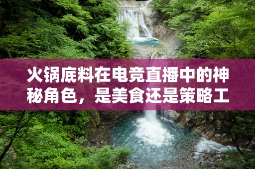 火锅底料在电竞直播中的神秘角色，是美食还是策略工具？