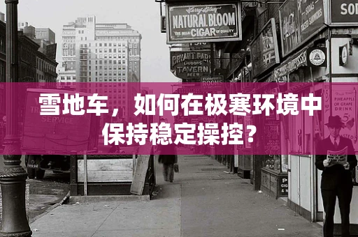 雪地车，如何在极寒环境中保持稳定操控？