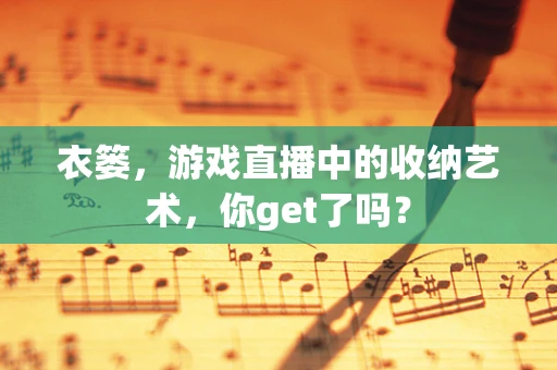 衣篓，游戏直播中的收纳艺术，你get了吗？
