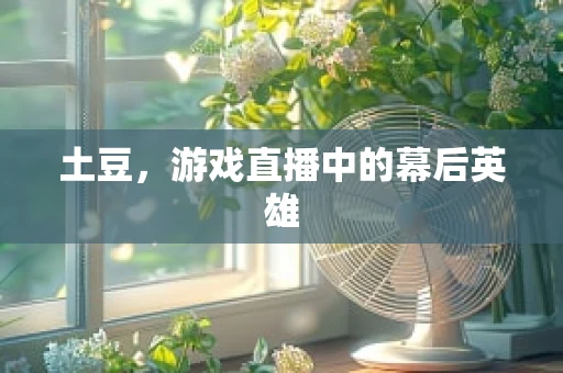土豆，游戏直播中的幕后英雄